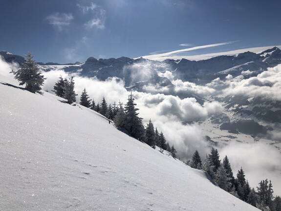 Leichte Genuss-Skitouren Obersimmental