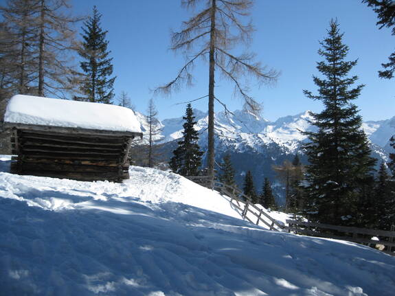 Genuss Skitouren Obernberger Tal